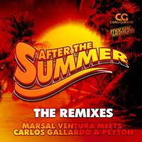 After the Summer - MARSAL VENTURA