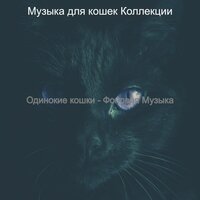Видения (Котята) - Музыка для кошек Коллекции