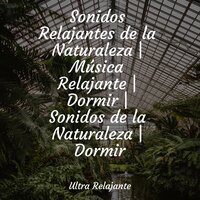 Recuerdos Acuñados - Meditacionessa & Musica para Meditar Especialistas & Mantra para Meditar