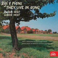 Keby sa ťa mamka ptali - Dušan Holý
