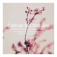 Hipnosis de Relajación Profunda - Noche de Paz