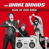 Out on the Sea - The Wake Woods