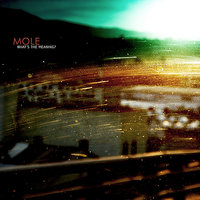 Greenland - Mole