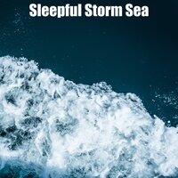 Muffled Waves - Focus Sea Noise