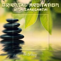 Relaxing Instrumental Vibes - Ho Si Qiang