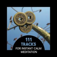 Energy Balance - Great Meditation Guru