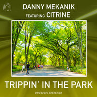 Trippin' In The Park - Danny Mekanik & Citrine & Simon Harris