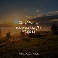 Softly Now - Sleepy Night Music & Namaste Yoga & Yoga Music