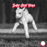 Yoga Training - Yoga Music & Academy of Powerful Music with Positive Energy & Pet Music Academy