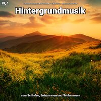 Hintergrundmusik pt. 79 - Entspannungsmusik Nils Stieldorff & Schlafmusik & Entspannungsmusik