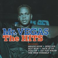 Rise - Mr. Vegas