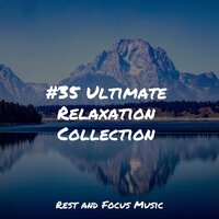 Nature's Piano - White Noise Baby Sleep & Deep Sleep Relaxation & Tranquility Spa Universe