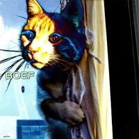 Boef - AVE