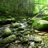 Yoga Meditation - Yoga Meditation Music & Yoga Music & Yoga Workout Music & Avslappning & Yoga Sould