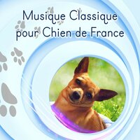 6 Polonaises No. 5 in A Major, D. 824, Op. 61 - Musique Douce Academy & Франц Шуберт