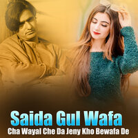 Za Mayan Yama Pata - Saida Gul Wafa