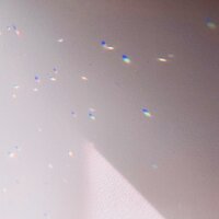 Glue - Lolo Meares