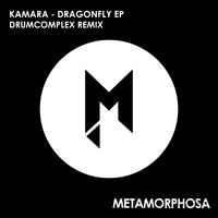 Dragonfly - Kamara