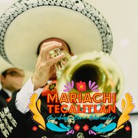 La Solterona - Mariachi Tecalitlan