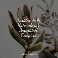 Me Siento Feliz - Relajante Música de Piano Oasis & Sons da Natureza & Musica Para Dormir