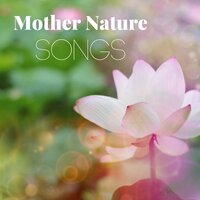 Lucid Dreams - New Age Naturists