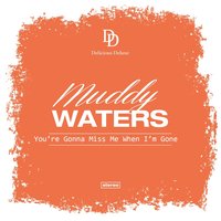 Who's Gonna Be Your Sweet Man When I'm Gone - Muddy Waters