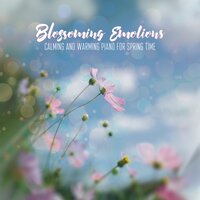 Piano Obsession - Background Instrumental Music Collective