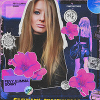 Sorry - Fevy & ILUMNIA