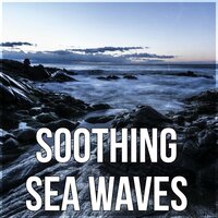 Rain Drops for Meditation - Water Sounds Music Zone