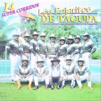 Lamberto Quintero - Los Pajaritos De Tacupa
