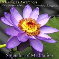 Tibetan Singing Bowl With Ocean Waves - Splendor of Meditation