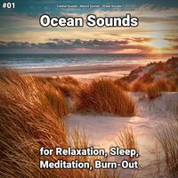 Ocean Sounds Part 30 - Coastal Sounds & Nature Sounds & Ocean Sounds