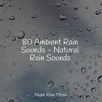 Forest, Birds, River Close - Study Music & Sounds & Studying Music & Sonidos De La Naturaleza