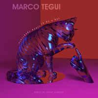 Everybody wants to be a kat - Marco Tegui