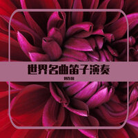 土耳其进行曲 - 刘连国