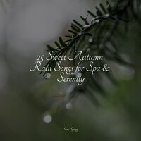 Wet Outside - Meditation Rain Sounds & Masters of Binaurality