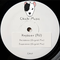 Experience - Knyazev (RU)