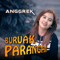 Buruak Parangai - Anggrek