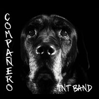 Compañero - TNT Band