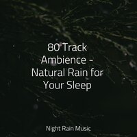 Tranquil Waves - Brain Study Music Guys & Nature Chillout & Yoga Rain
