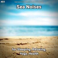 Sea Noises Part 22 - Ocean Sounds by Viviana Fernsby & Nature Sounds & Ocean Sounds