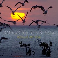 Los Límulos y el Tiburón Ballena - Santi Vega