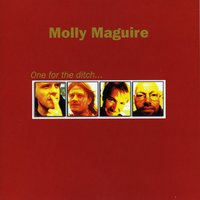 Cheers to Shane - Molly Maguire