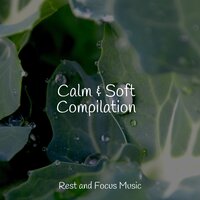 Love Blossoms - Sleep Meditation Dream Catcher & Asian Zen: Spa Music Meditation & Yoga