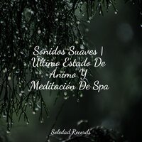 Armonía Natural - Meditacao Clube & Naturaleza & Sonidos De Lluvia y Tormentas