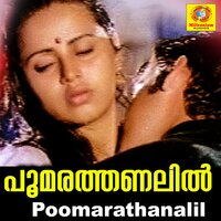 Saami Goswami - S. P. Bala & Sunitha