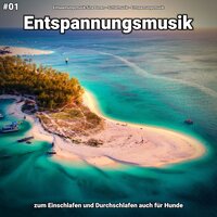 Zarte Klänge zum Lernen - Entspannungsmusik & Schlafmusik & Entspannungsmusik Sina Donen