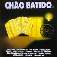 De Guerreiro a Payador - Pedro Ortaça