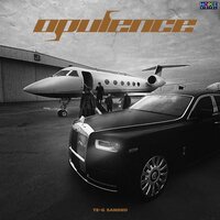 Opulence - Te-G Sandhu