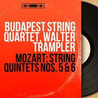 String Quintet No. 5 in D Major, K. 593: II. Adagio - Budapest String Quartet & Вольфганг Амадей Моцарт